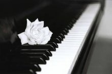 Piano su roze